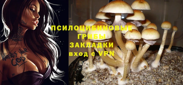 ALPHA PVP Семикаракорск